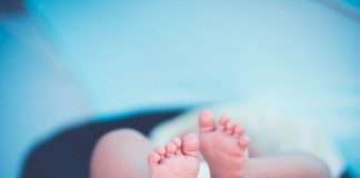Woman migrant delivers baby girl under roadside tree after covering 500 kms on foot