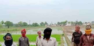ropar workers could not return home due to missing train then took paddy transplanting contract