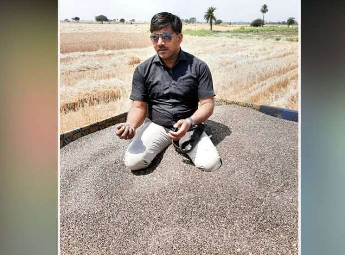 black wheat changed fortunes farmer becoming a millionaire dhar mp
