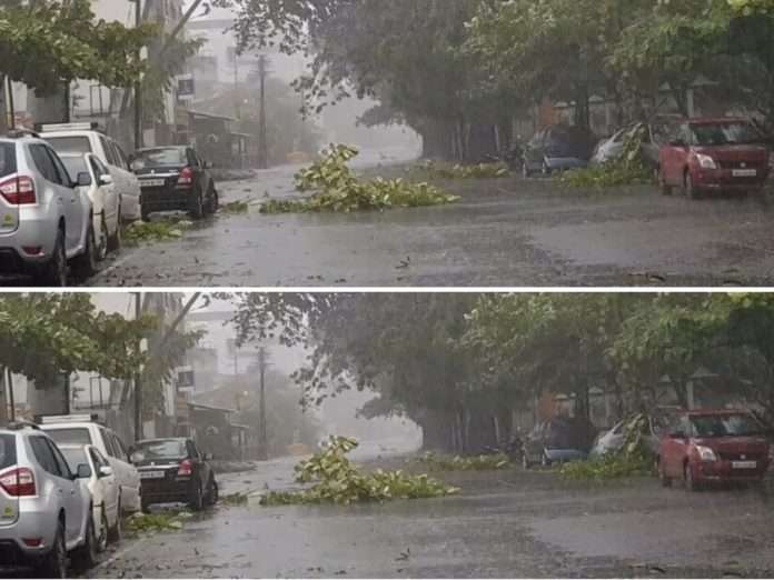 cyclone nisarga effect trees getting uprooted in the strong wind in mumbai,raigad