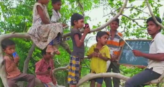 online school on tree in nadurbar