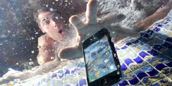 What should you do if your phone gets wet