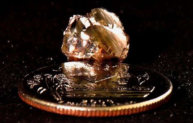 precious 9 carat diamond found in park at america