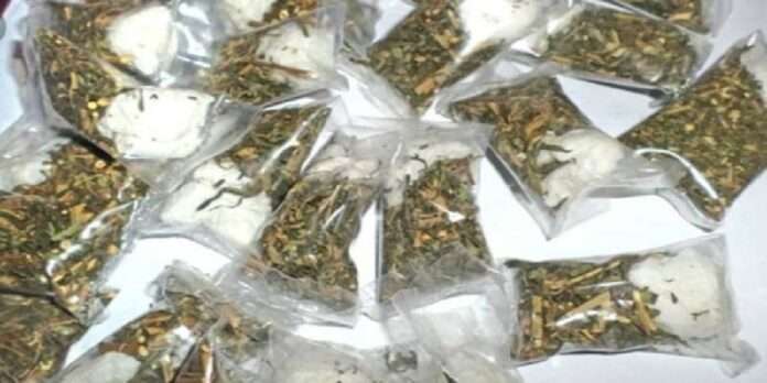 25kg marijuana seized in pune IT hub