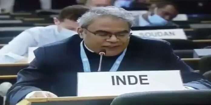 India slams Pakistan, Turkey and OIC at UN