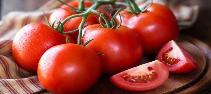 tomato safety tips