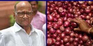 sharad pawar on onion export ban