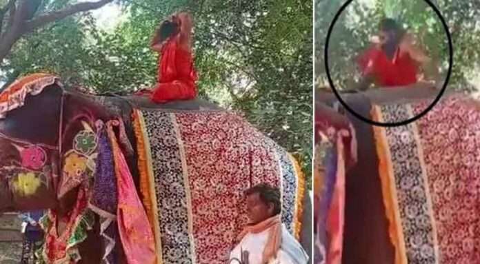 Baba Ramdev falls off elephant