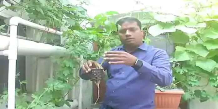agra engineer starts growing vegetables in water without soil
