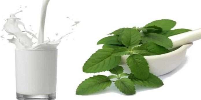Benefit Of Milk With Basil