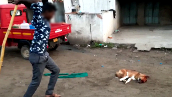 video beating video gone viral two youths police custody aurangabad maharashtra