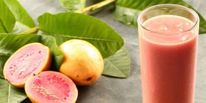 guava juice recipe