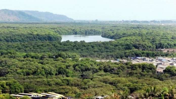 Appoint special vigilance team for protection of mangrove