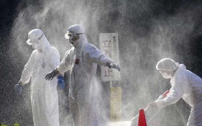 Japan's worst bird flu outbreak on record spreads to 10th prefecture