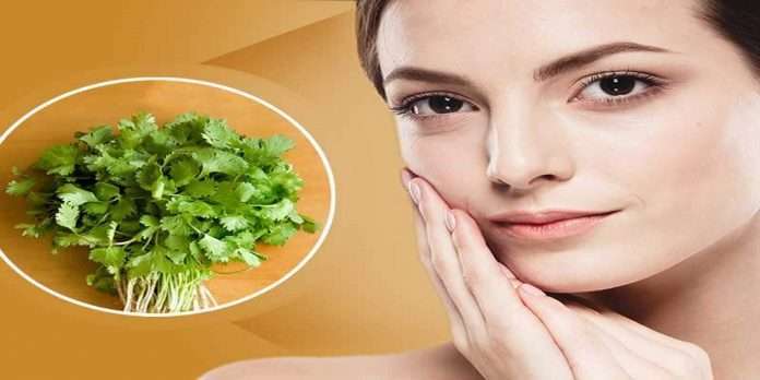 coriander benefits for skin