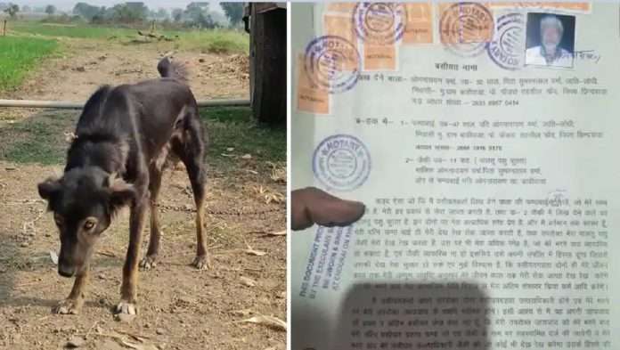 farmer madhya pradesh declares dog legal heir will along wife