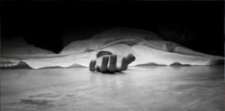 mumbai crime news Shocking 35 year old man murdered by younger brother