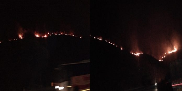 Mountain fire over new tunnel in Katraj Ghat pune