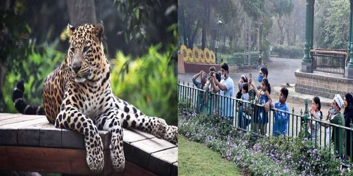 Veermata Jijabai Bhosale Park and Zoo Rani Bagh opened for tourism