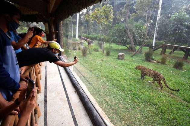 Veermata Jijabai Bhosale Park and Zoo Rani Bagh opened for tourism