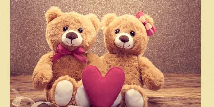teddy day 2021 know teddy bear color significance before gifting on valentine day