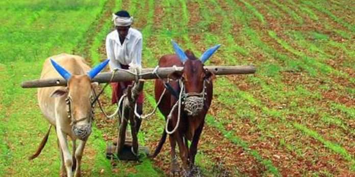 agriculture mukhya mantri kisan yojana will be implemented in maharashtra