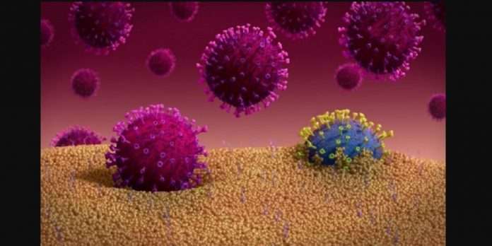 Cold cough virus kill corona virus research University Of Glasgow