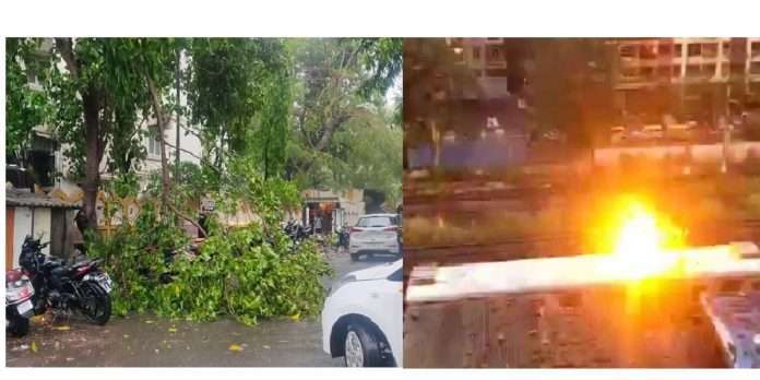 Cyclone Tauktae impact in mumbai 479 trees fell and 17 place short circuit in mumbai