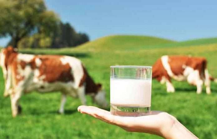 coronavirus china people drink more milk to boost immune system