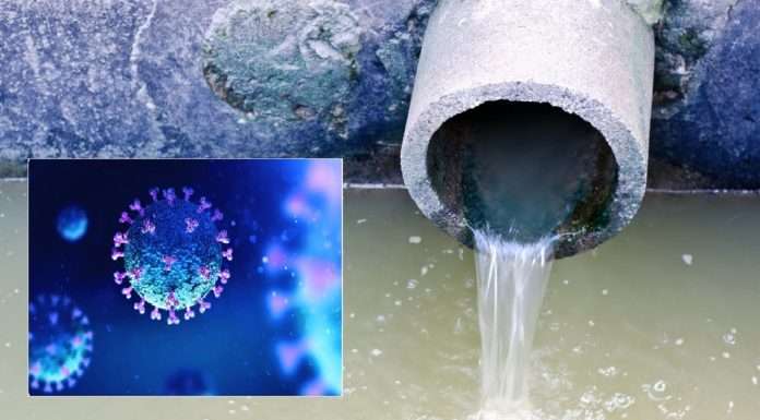 108 mutant virus of corona were found in sewage at pune