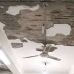 plaster of the ceiling collapsed at Goregaon child died and a woman was injured