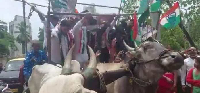 Bullock Cart Stage Collapses During Congress Protest