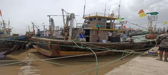 Climate change kills fish: hundreds of boats ashore,