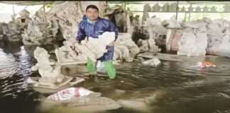 Damage to Ganesh idols in flood waters in Pen