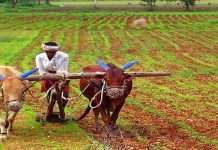 3 thousand 501 crore announced by the maharashtra government for compensation of farmers