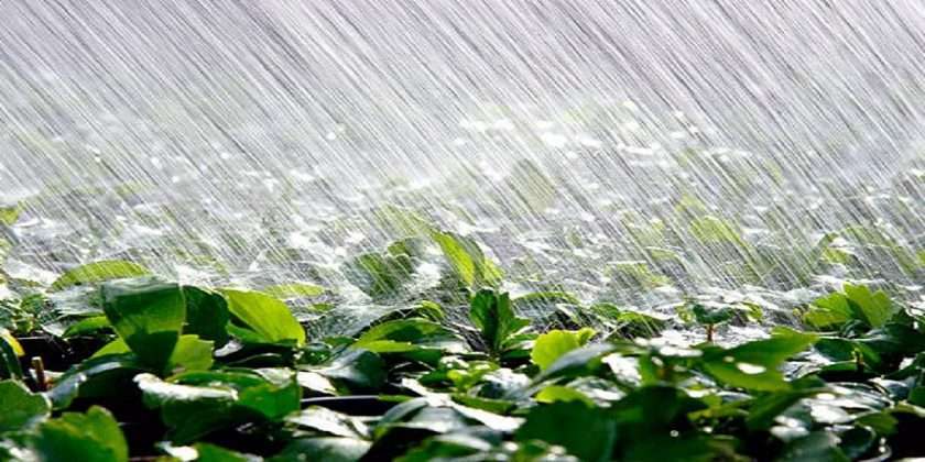 monsoon rainfall top 10 wettest places on earth