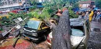 Additional cost of Rs 1.23 crore for picking up fallen trees and branches