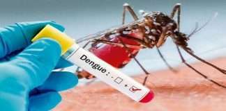 Monthly increase number of dengue cases in Mumbai compared to last year