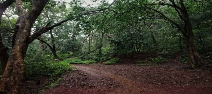 The new look of the points in Matheran