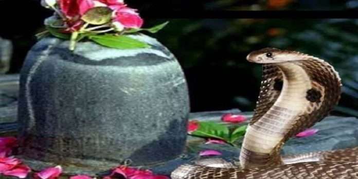 Worship the snake on Nagpanchami? auspicious moment of Nagpanchami and the pooja ritual