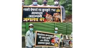 Chain agitation on Mumbai-Goa highway for protection of wildlife