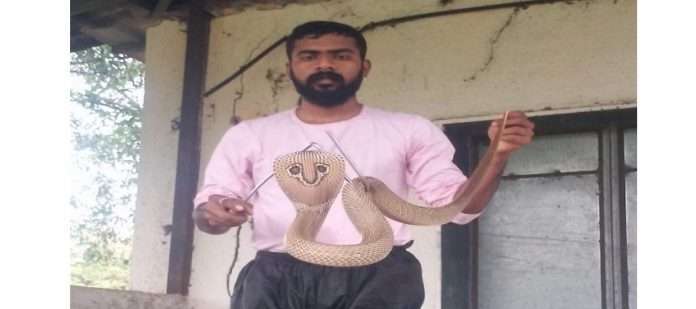 Sarpamitra succeeds in catching a poisonous snake at karjat