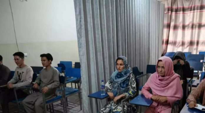 taliban allow female students for study in afghanistan university