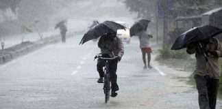 Maharashtra Weather Update Yellow Alert to 5 Districts in 1st and 2nd november