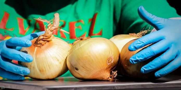 Salmonella outbreak Onion cause Bacterial Infection in US , 652 infected