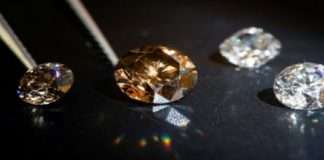 thieves throws 8 lakh rupees diamond assuming them as fake in nagpur