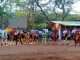 Dussehra 2021: Matheran horse breeders cheer for Dussehra, horses decorated in procession