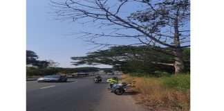 Mumbai Pune Highway: Possibility of accident on Mumbai-Pune highway due to dried trees