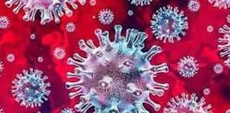 corona Virus third wave Health Secretary pradip vyas warn 2 lakh corona patient report in january