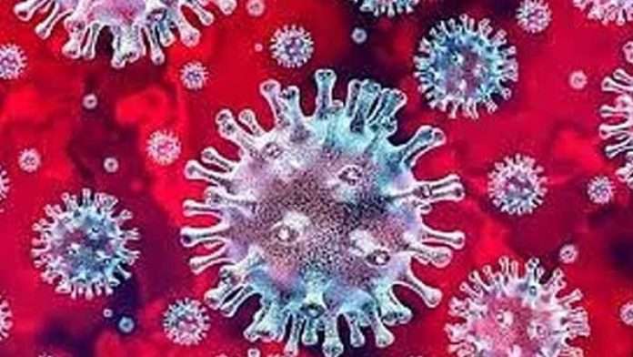 corona Virus third wave Health Secretary pradip vyas warn 2 lakh corona patient report in january